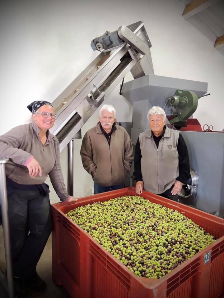 Huile d’olive du Moulin du Comtat