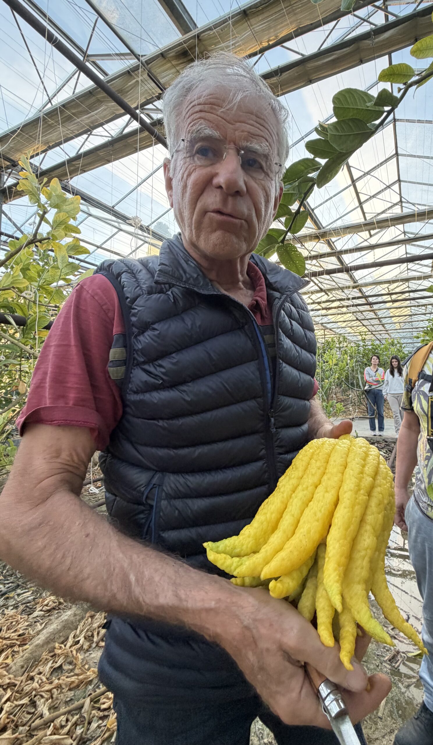 Jean Délices d’Agrumes, à Aubignan