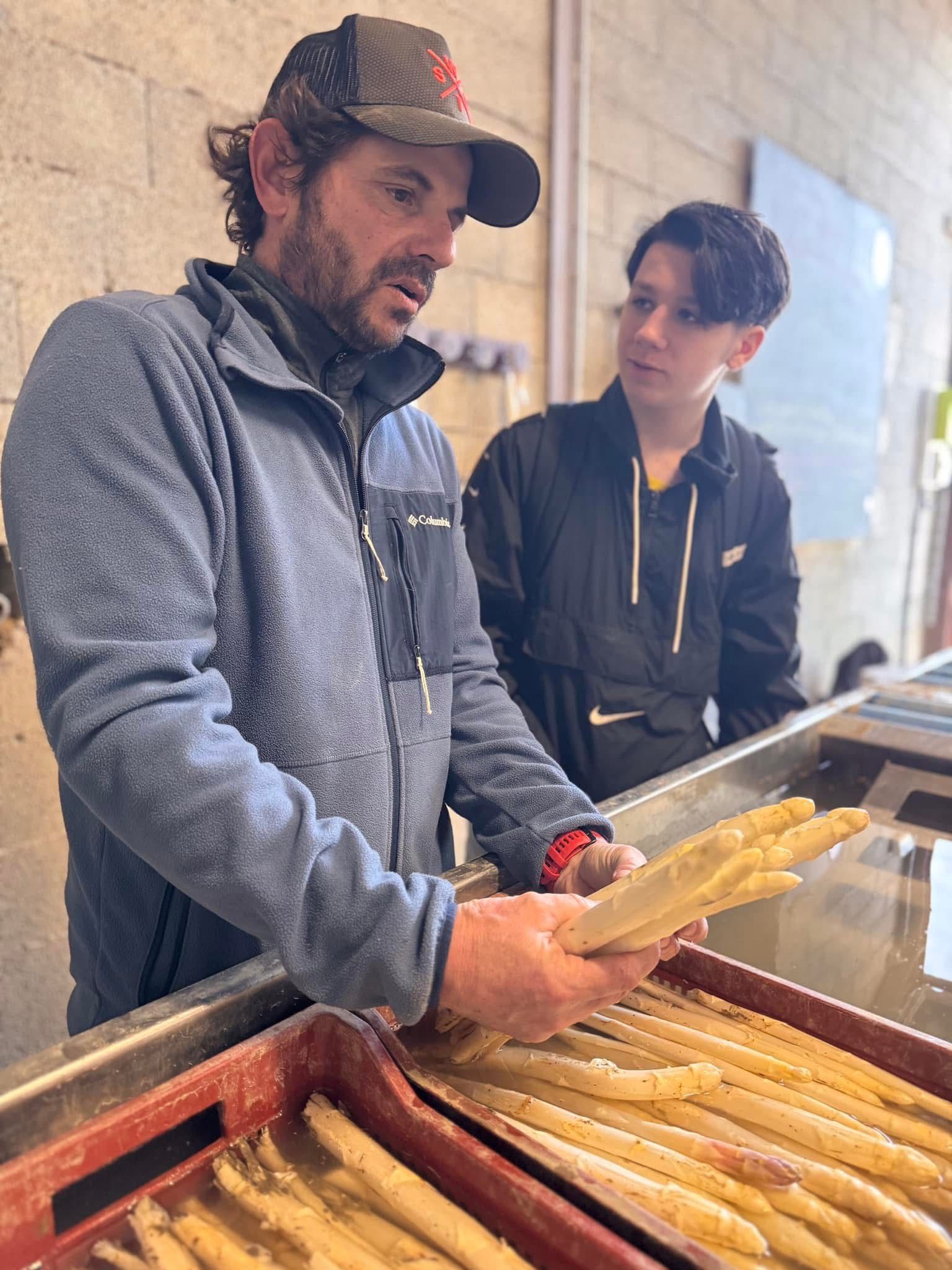 Sébastien Coudray, producteur d’asperges à Mazan